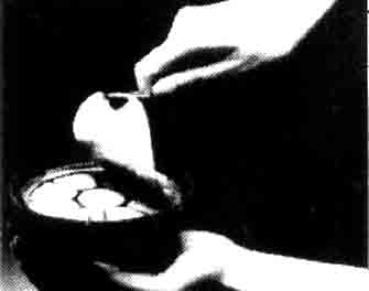 IMPA手冊 編號550636撲蟑藥(圖1) IMPA手冊 編號550636撲蟑藥(圖1)