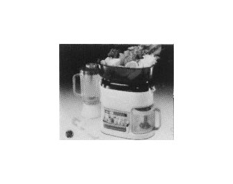 IMPA手冊 編號174572電動果菜機(圖1)