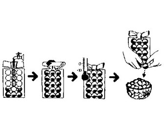 IMPA手冊(cè) 編號(hào)171378制冰袋(圖1) IMPA手冊(cè) 編號(hào)171378制冰袋(圖1)