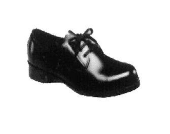 IMPA手冊(cè) 編號(hào)190313安全鞋(圖1)