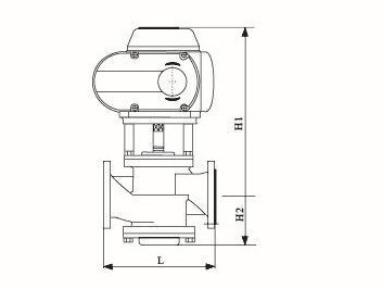 EDRV電動平衡閥外形結構圖 EDRV電動平衡閥(圖2)