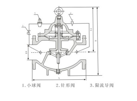 LH45X限流止回閥外形結構圖 LH45X限流止回閥(圖1)