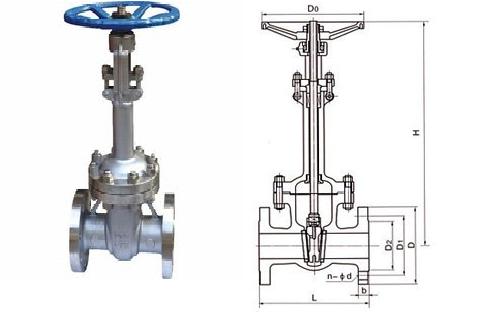 DZ40Y低溫閘閥外形結構圖 DZ40Y低溫閘閥(圖1)
