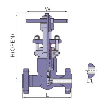 Z61Y,Z41Y自密封閘閥(圖2)
