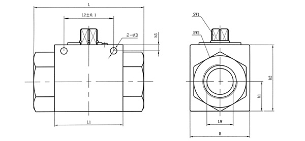 VH2V直通高壓球閥外形結(jié)構(gòu)圖 VH2V直通高壓球閥(圖3)