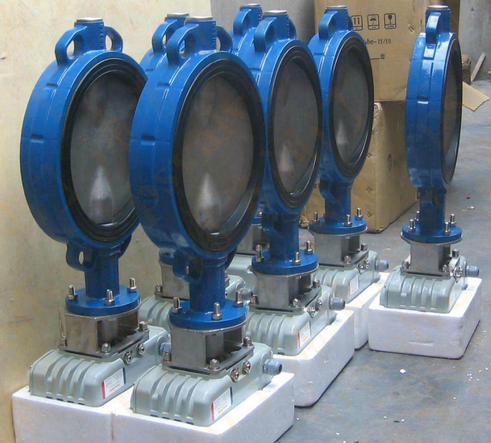 電動脫硫蝶閥(圖1)