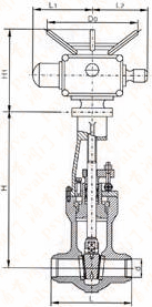 高壓閘閥(圖4) 高壓閘閥(圖4)
