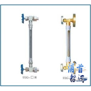 船用雙色液位計