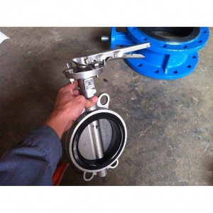 D71X不銹鋼對夾蝶閥