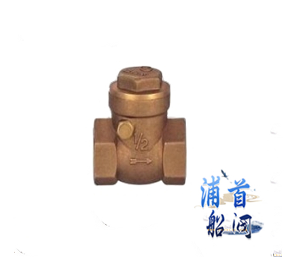 不銹鋼止回閥有幾種不同的種類(圖3) 不銹鋼止回閥有幾種不同的種類(圖3)