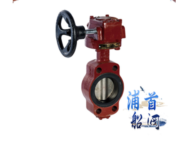 雙相鋼蝶閥的特點(diǎn)和止回閥的特點(diǎn)(圖2) 雙相鋼蝶閥的特點(diǎn)和止回閥的特點(diǎn)(圖2)